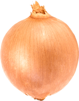 Fotka cibule